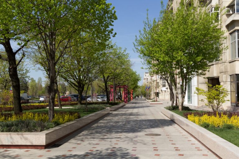 De ce pavajul schimbă fața orașului: apă care se scurge, nu se adună