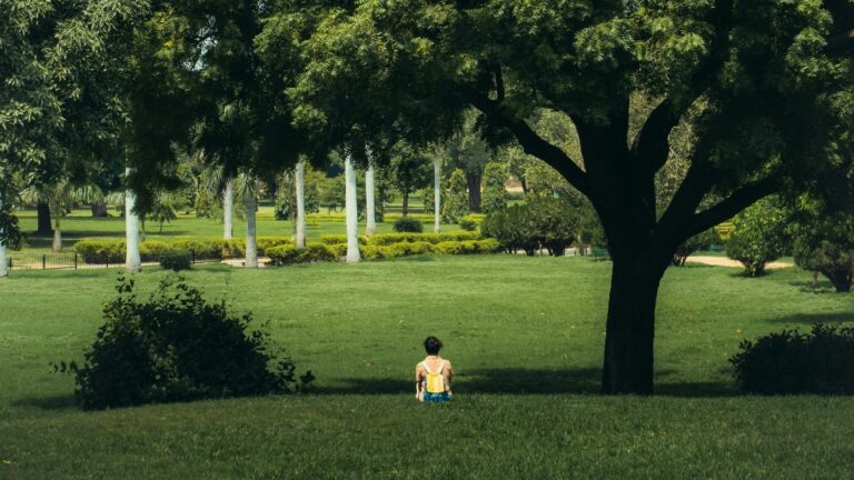 Agresiune sexuală în Parcul Tineretului: O adolescentă atacată în plină zi