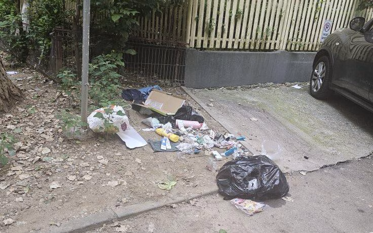Costurile ridicării deșeurilor abandonate în Sectorul 2: 432 de tone de apă utilizate zilnic pentru curățenie