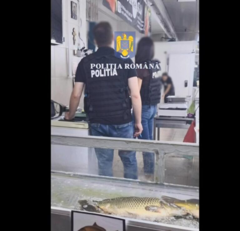 Poliția Capitalei confiscă 88 de kilograme de pește ilegal în Sectorul 2