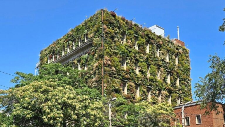 Primul mall de plante din București, o oază verde în inima orașului