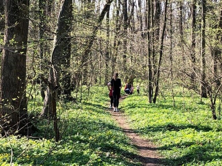 Proiectul întârziat pentru transferul Pădurii Băneasa. Reacțiile liderilor politici în așteptarea votului din Consiliul General