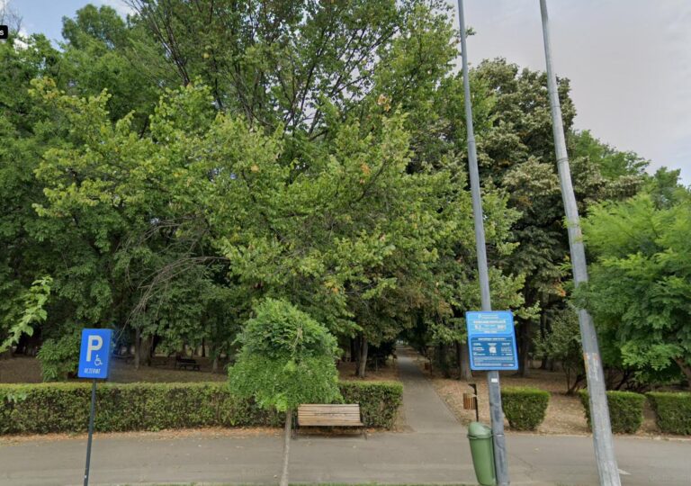 Sector 1 | Scrisoare deschisă pentru Parcul Kiseleff: „Nu vrem parc privat”. Primăria plănuiește organizarea unui parc tematic sezonier, cu acces contra cost