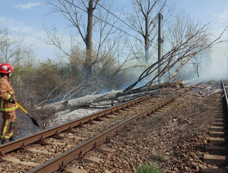 Trafic feroviar afectat între Buftea şi Periş din cauza vijeliei