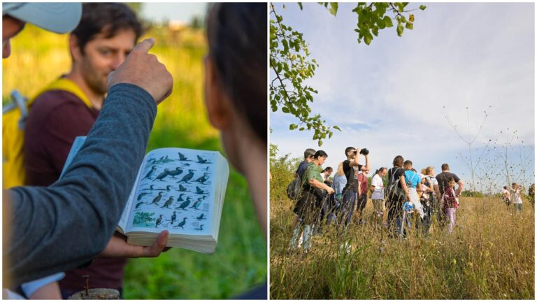 Tur ghidat în Parcul Natural Văcărești, sâmbăta aceasta🌳 Bucureștenii pot admira speciile de păsări protejate, dar și libelule strălucitoare și mulți fluturi colorați
