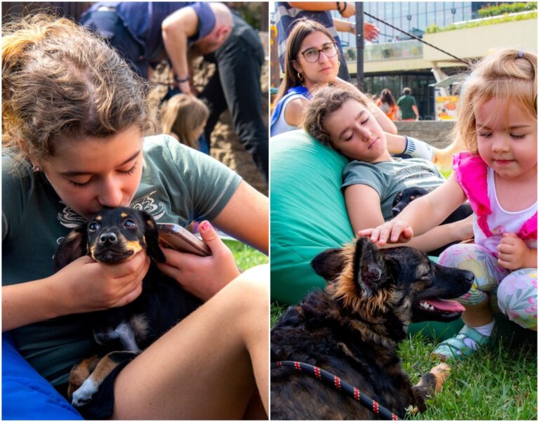 28 de căței și 27 de pisici și-au găsit familii iubitoare la cel mai mare târg de adopții din 2025 al ASPA București ❤️ A avut loc la Park Lake, iar stăpânii au primit cadouri pentru blănoși