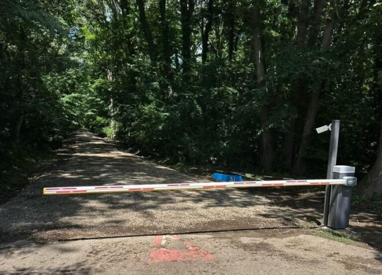 Accesul pe drumul din Pădurea Băneasa, contestat de fostul ministru al Mediului