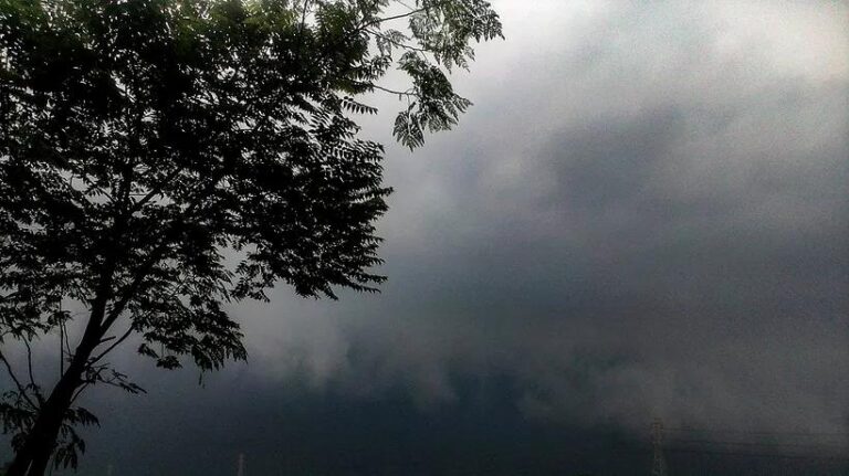 Avertizare meteo: Cod galben de vânt în București, vremea se răcește