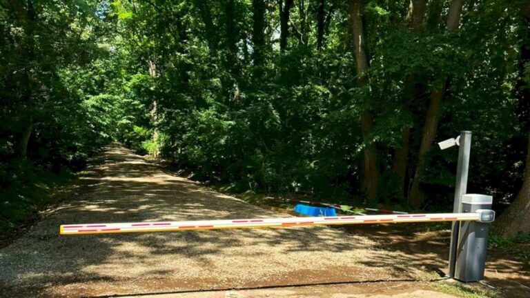 Noi controverse în Pădurea Băneasa