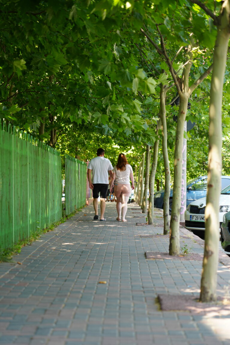 Întreținerea spațiilor verzi din București – diferențe majore între sectoare