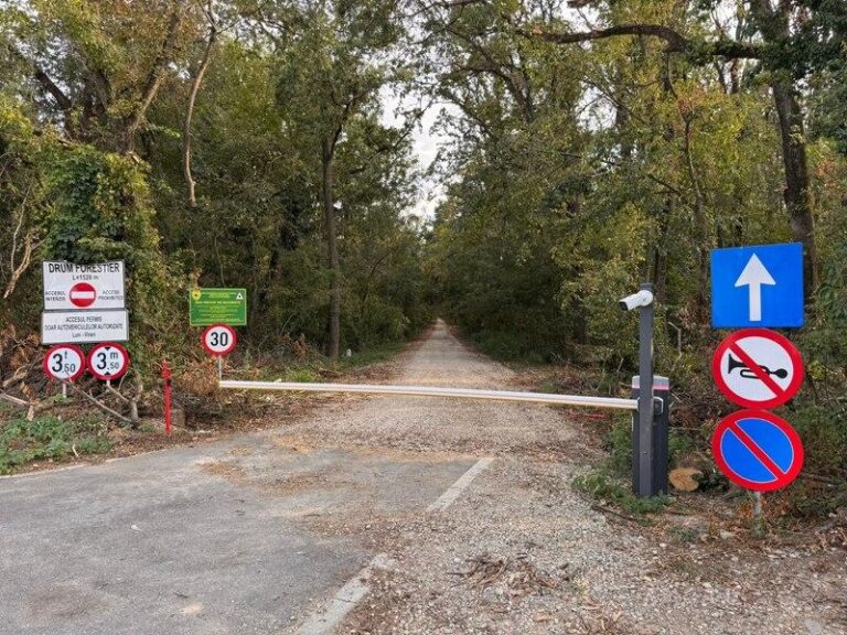 Dezbatere crucială la Ministerul Mediului: viitorul Pădurii Băneasa și impactul asupra locuitorilor din Greenfield