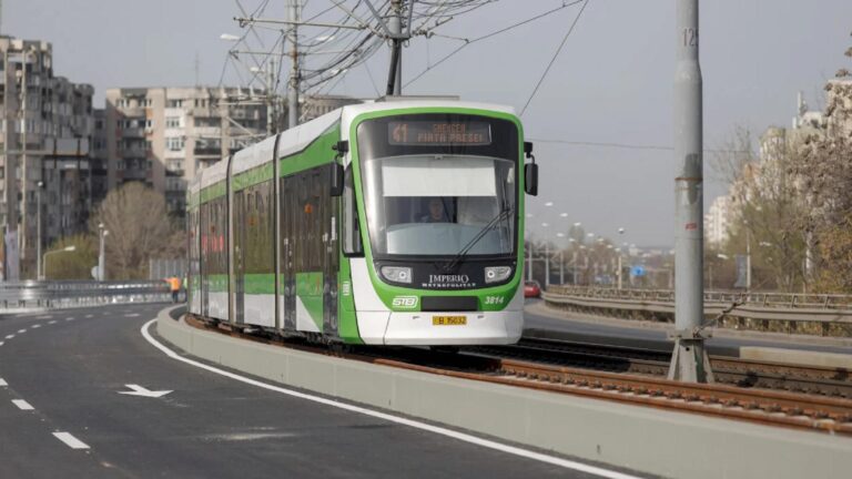 Haos in Drumul Taberei