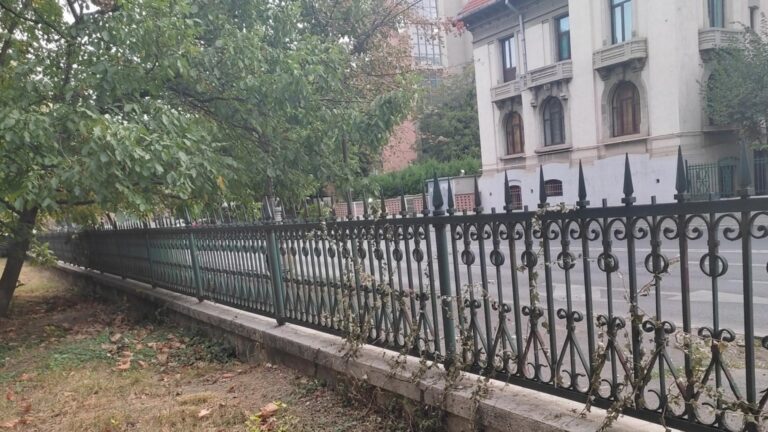 Iedera din Parcul Izvor, simbol al vieții eterne, a dispărut subit