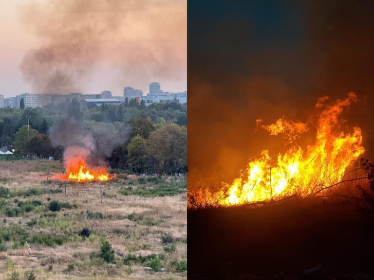 Incendiu în zona retrocedată din Parcul IOR