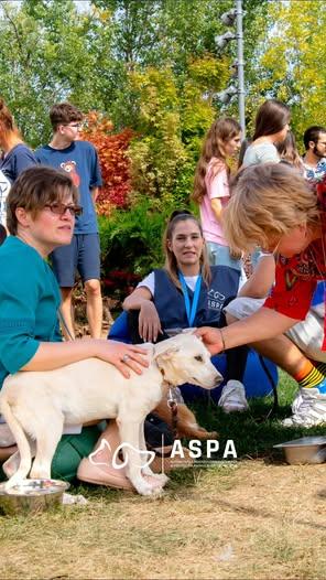 La cel mai mare târg de adopții de anul acesta au fost adoptați 28 de câini