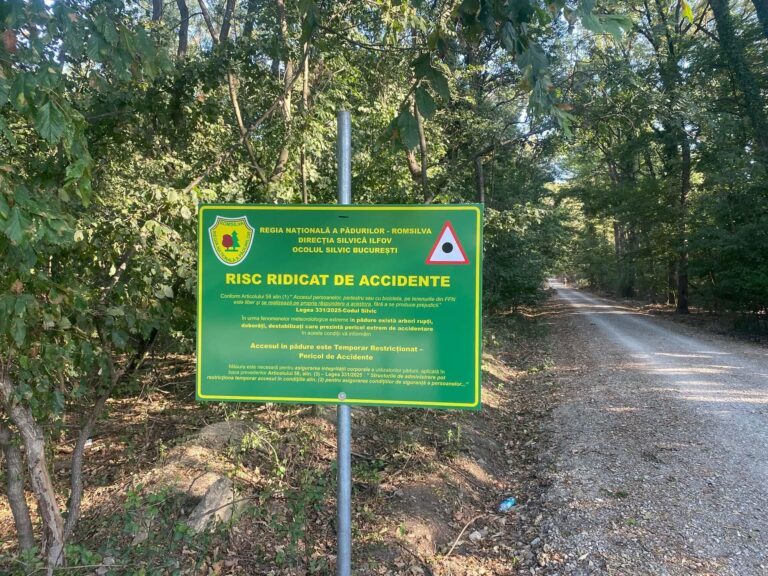 Locuitorii din Greenfield folosesc ilegal drumul forestier din Pădurea Băneasa