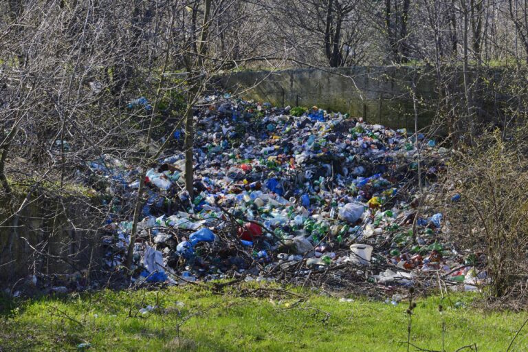 Ministra Mediului, despre gunoaiele aruncate pe câmp: „Dacă mai aud de o campanie de reciclare cu flyere pe hârtie o să înnebunesc”