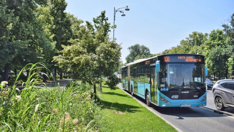 Modificări în circulația STB pentru Bucharest Street Food Festival, în weekend. TPBI anunță restricții de trafic pe Kiseleff