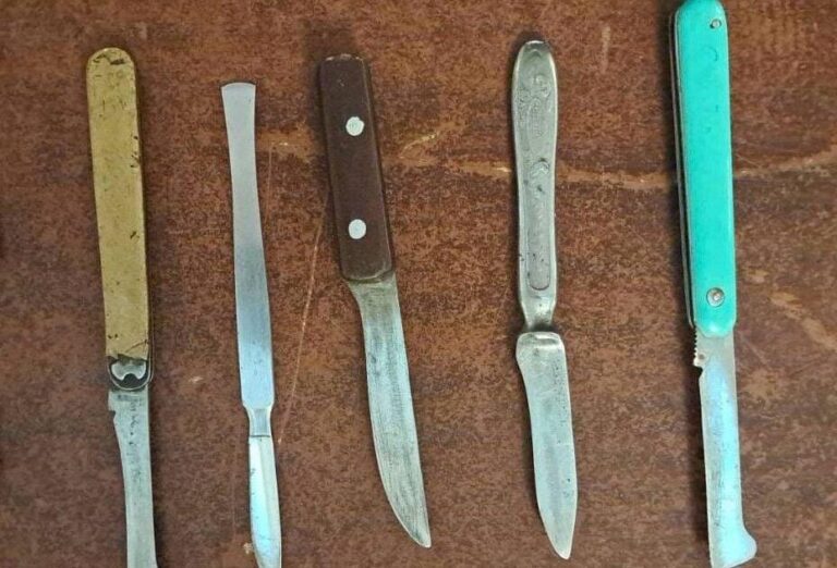 O femeie din Republica Moldova, prinsă cu șase cuțite la intrarea în Parlament