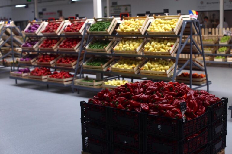 Piața Volantă revine în Dorobanți