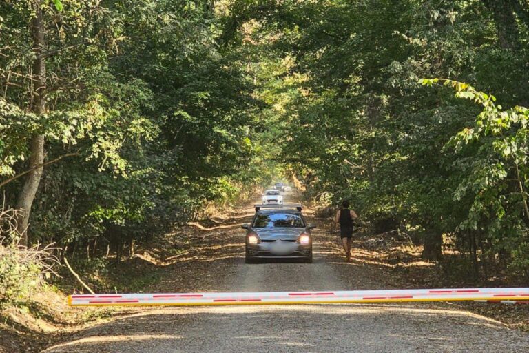 Platforma Civică Împreună pentru Centura Verde solicită ministrului Mediului respectarea legii şi oprirea traficului auto în Pădurea Băneasa