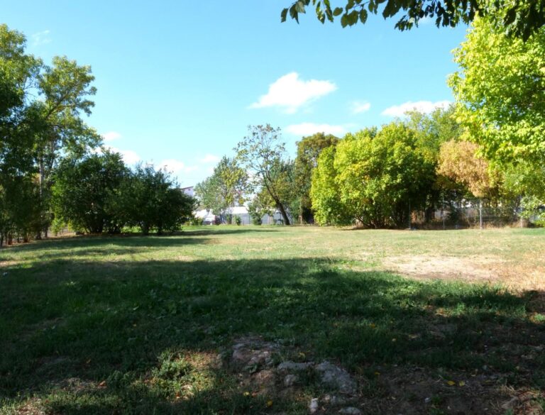 Primăria Sectorului 1 intenționează să dezvolte un parc pe Bulevardul Laminorului