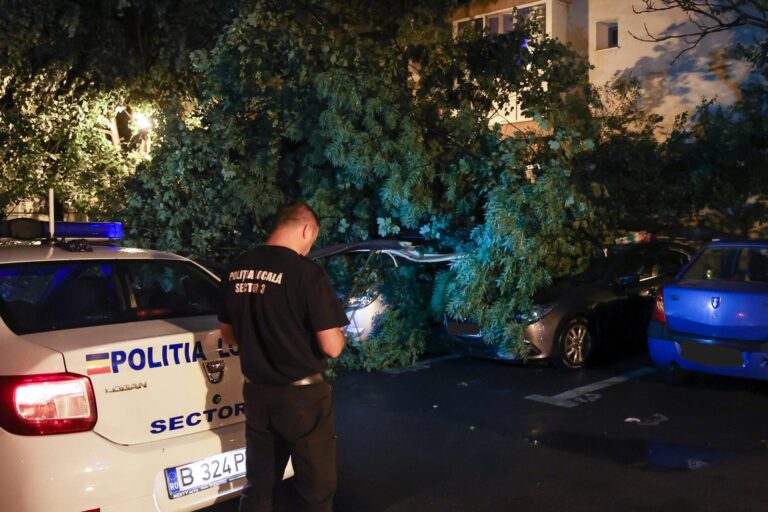 Primăria Sectorului 3 inițiază achiziția de body-camere pentru polițiștii locali