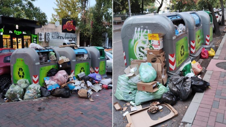 Probleme cu gestionarea deșeurilor în Sectorul 3: Pubele pline și gândaci