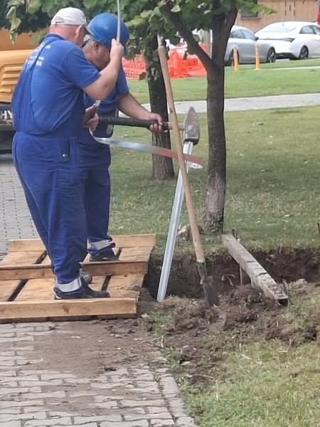 Raport privind intervențiile Companiei Municipale Iluminat Public București SRL