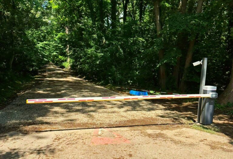 Romsilva a renunțat la dreptul de a rezilia contractul pentru accesul auto în Pădurea Băneasa