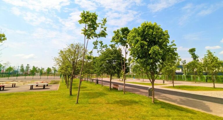 Sector 4 | Lucrări de extindere a parcului Tudor Arghezi. Vor fi adăugate noi spații verzi