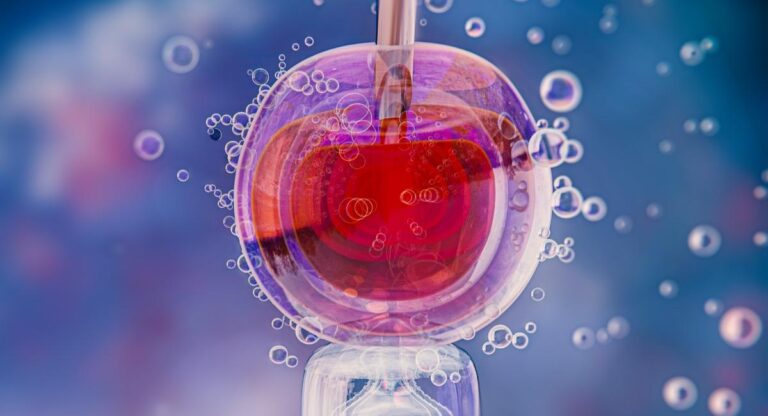 Sectorul 2 | Informații despre depunerea dosarelor pentru ajutorul FIV