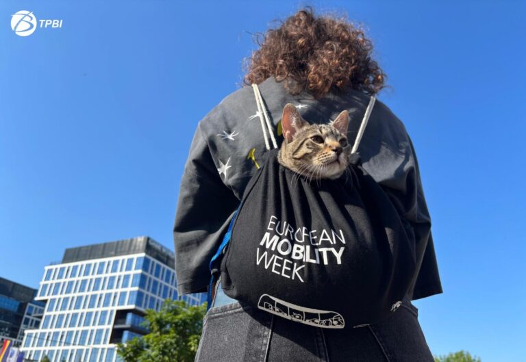 Trafic restricționat in week end