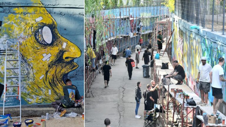 Ultima zi a Streetwise Festival: Transformarea pasajului feroviar de la Parcul Liniei în artă murală