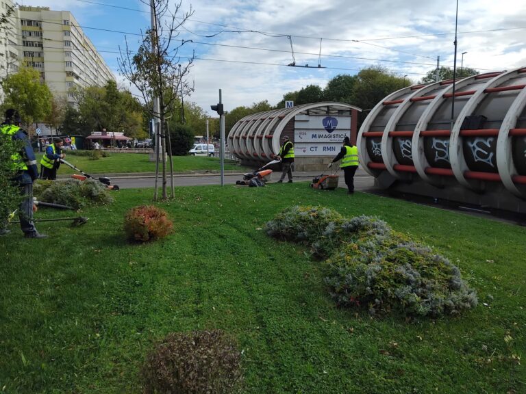 Activități de curățare a domeniului public în Sectorul 2