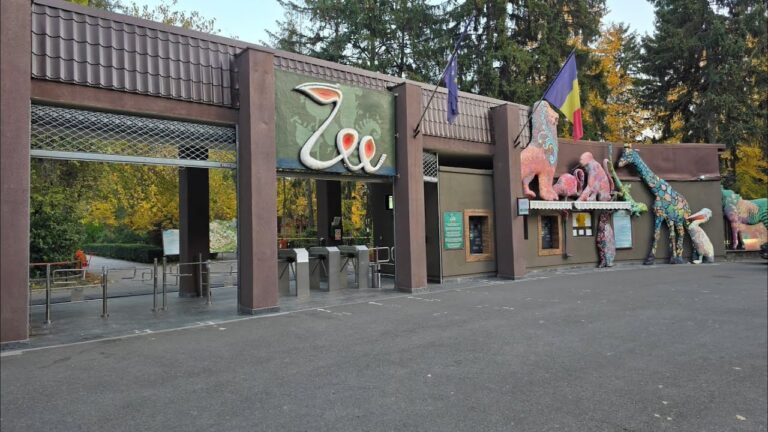 Dezbatere publică pentru tarifele și programul de la Grădina Zoologică