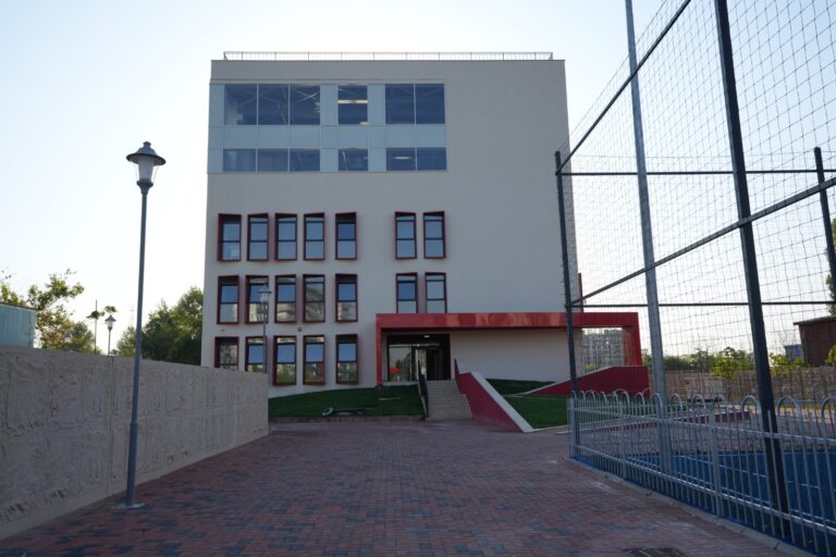 O școală nouă după 1989: Victor Brauner