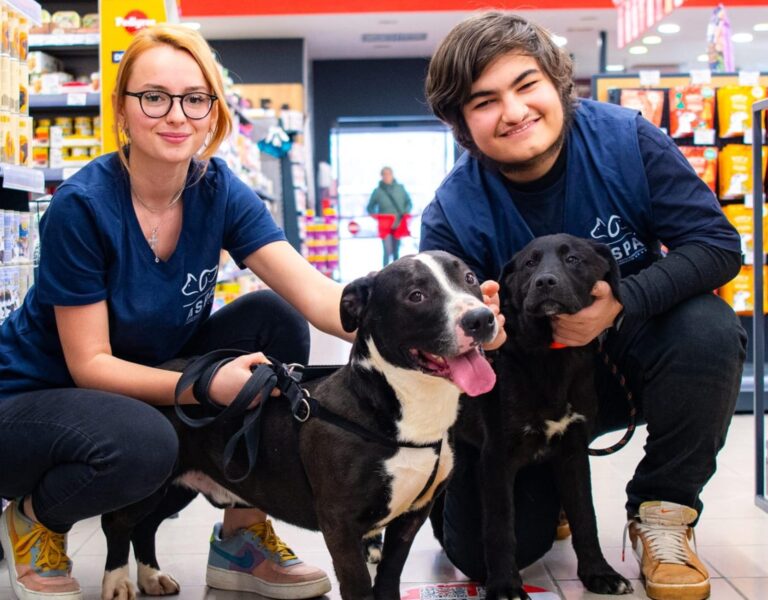 ASPA organizează primul târg de adopții indoor din această toamnă 🐶 Cățelușii care îți caută familii te așteaptă la Maxi Pet Mihai Bravu