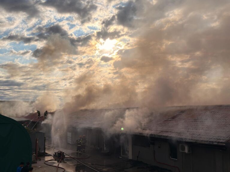 Aerul din București, afectat de incendii: Peste șapte intervenții zilnice pentru stingerea focarelor în ultimii cinci ani