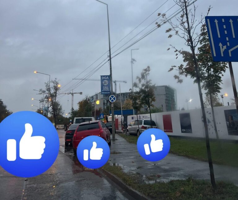 Bucureșteancă atrage atenția asupra parcării neregulamentare pe DN1