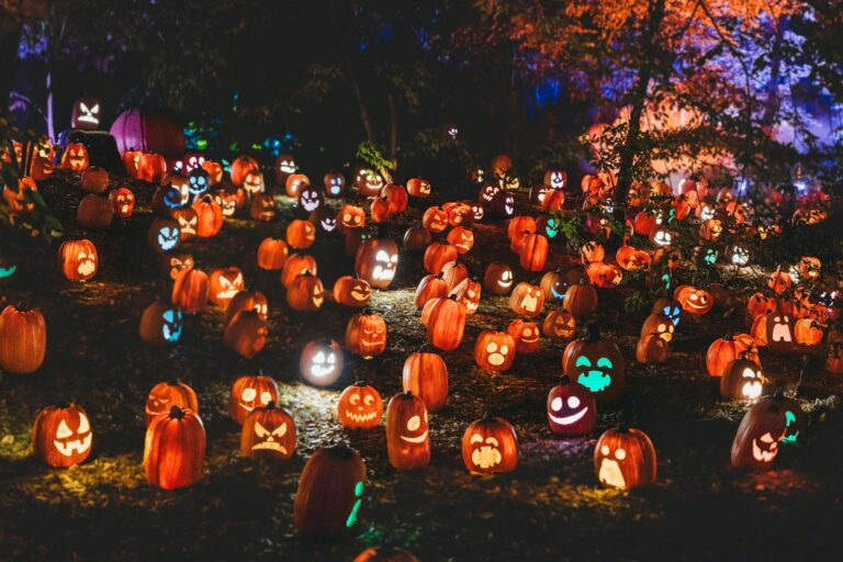 Cel mai mare zid de dovleci de Halloween se construiește la București 🎃 30.000 vor fi aprinși la PumpkinFest, din Parcul Copiilor, în acest weekend