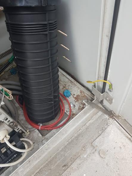 Compania Municipală Eco Igienizare a început deratizarea în București