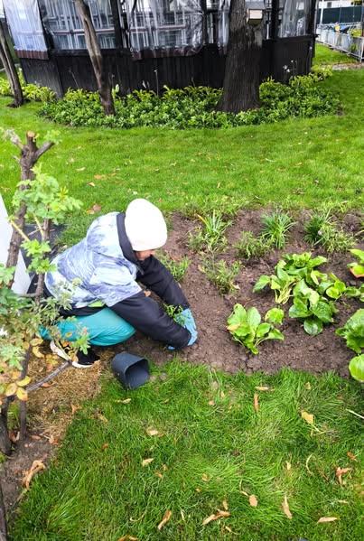 Continuăm Curățenia de Toamnă: Lucrăm pe spațiile verzi din cartierul Bucureștii Noi