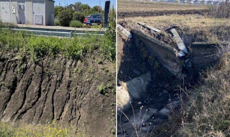 Controverse în jurul lucrărilor de canalizare din Nordul Capitalei, după descoperirea unei specii protejate