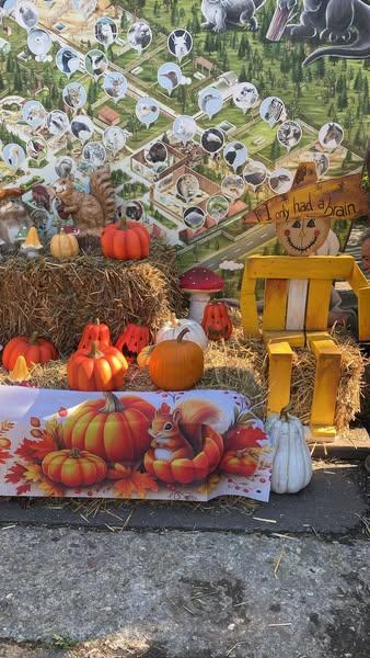 Dovleceii se pregătesc de sărbătoare la Grădina Zoologică București!