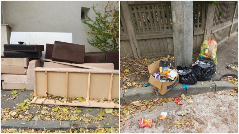FOTO | Mormane de gunoaie în Sectorul 1. Deșeuri menajere și mobilier abandonat pe străzile Paharnicului 4 și Radu Boiangiu