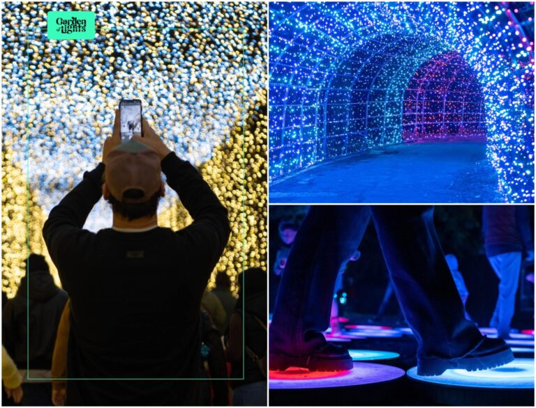 Grădina Botanică din București devine tărâm magic: „Small World”, tema de anul acesta