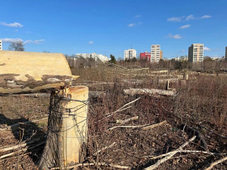 Identificarea moștenitorului Mariei Cocoru și reluarea proceselor legale