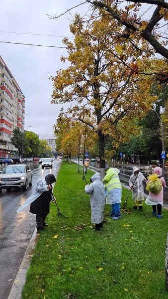 În Sectorul 4, gestionarea eficientă a ploilor torențiale
