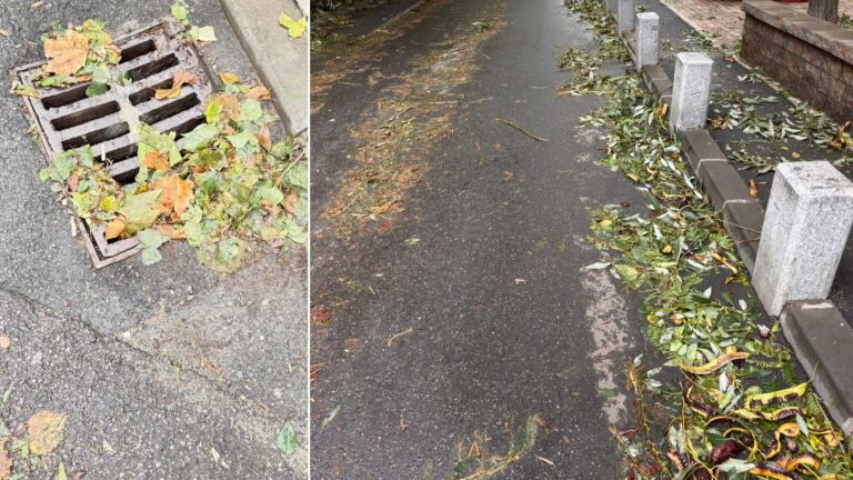 Mâzga verde-maronie pe care patinezi prin București, după primul episod de vreme extremă